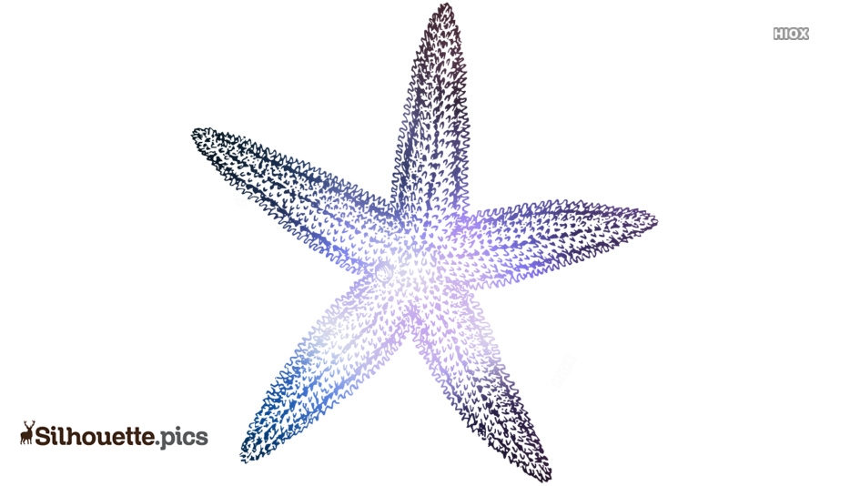 Starfish  ClipArt ETC