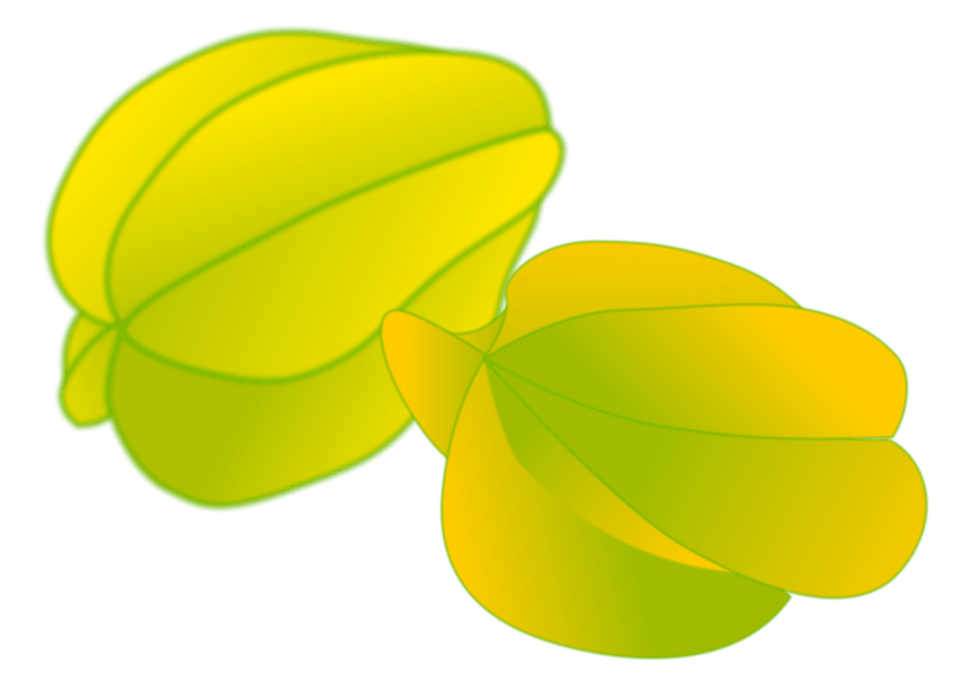 Two vibrant yellow-green starfruit slices with characteristic ridges and star-shaped cross-sections on a dark green background.