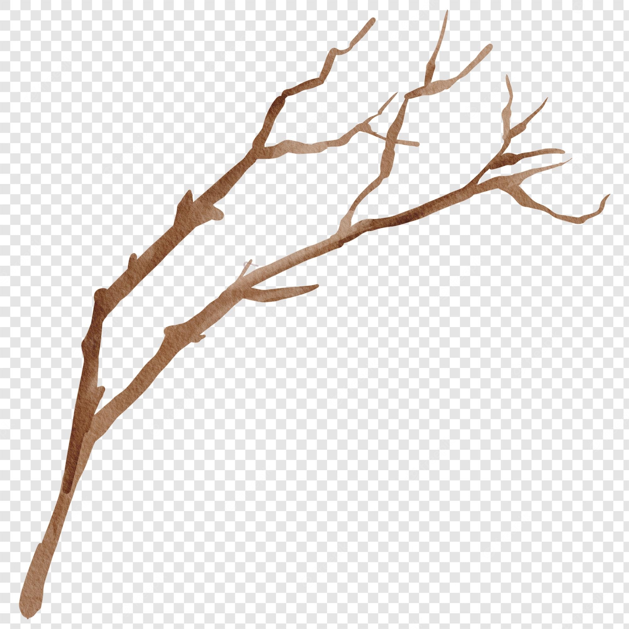 Twig Clipart Vector, A Twig, Branch, Deadwood, Branches And Leaves PNG  Image For Free Download