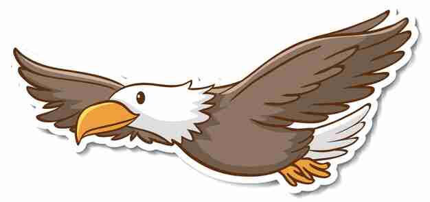 Bald Eagle Illustration - Free Clipart for Educational and Design Use