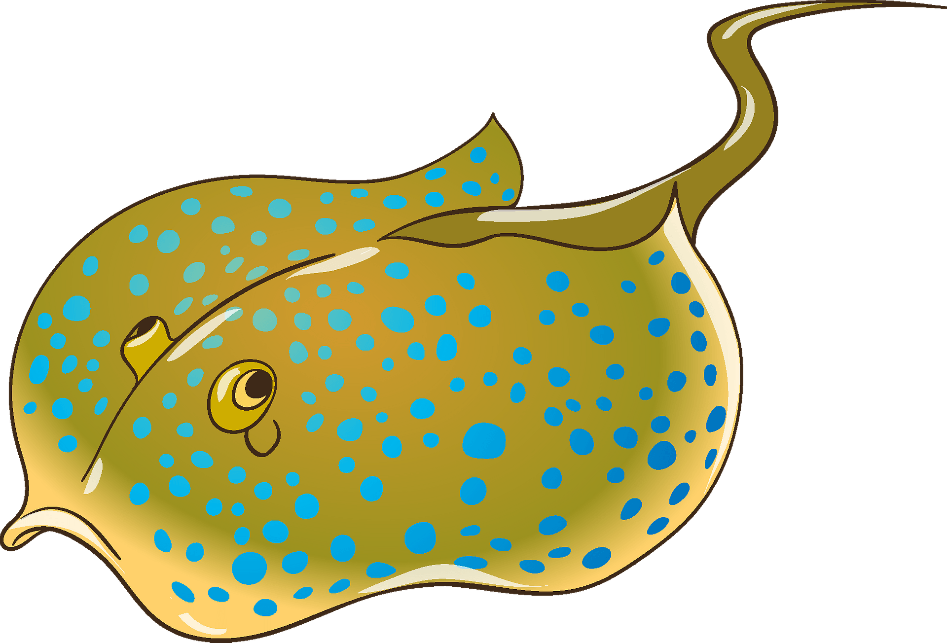 Stingray Clipart Free Download Transparent PNG Clipart Library Clip 