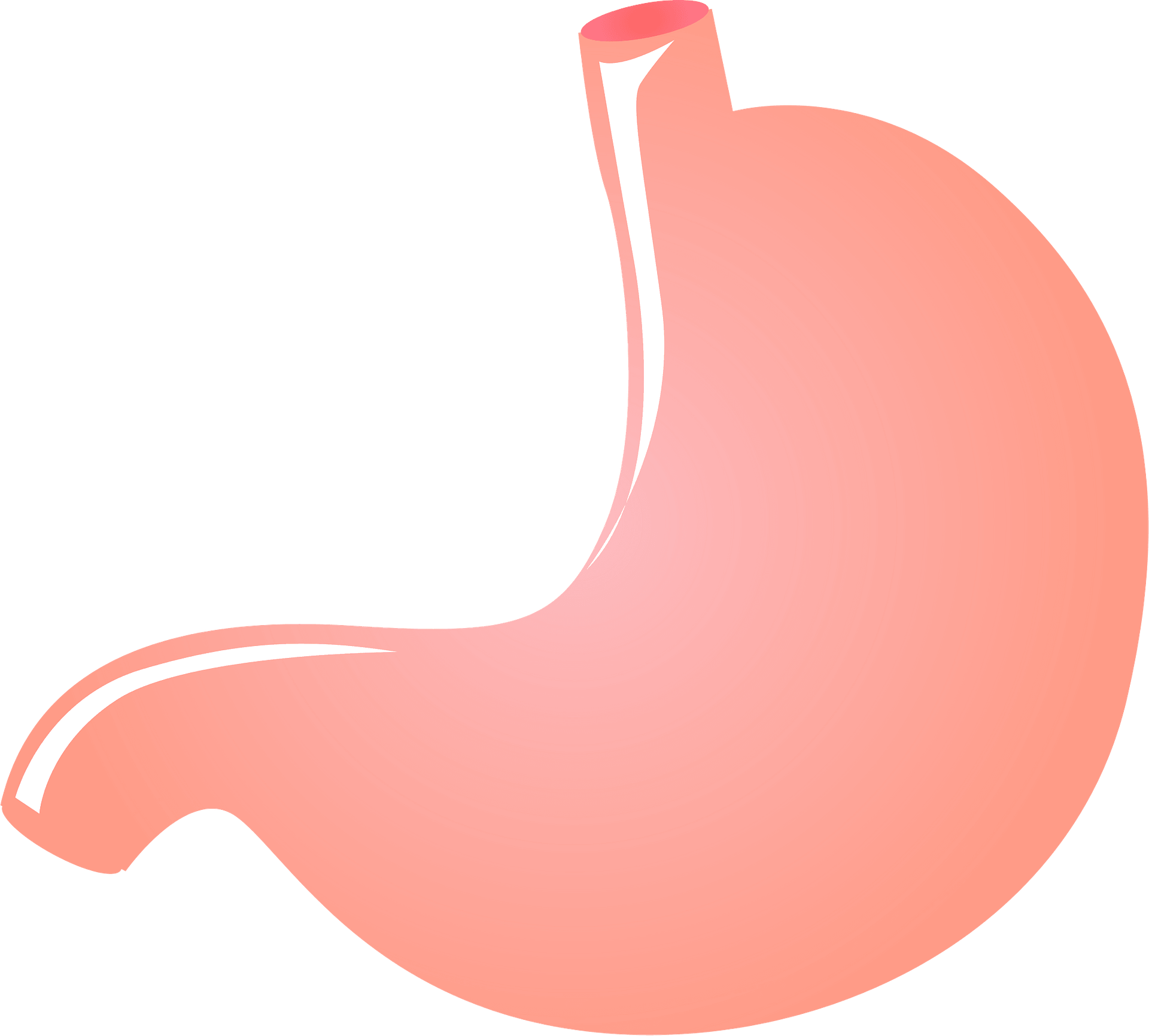 stomachs-clip-art-library