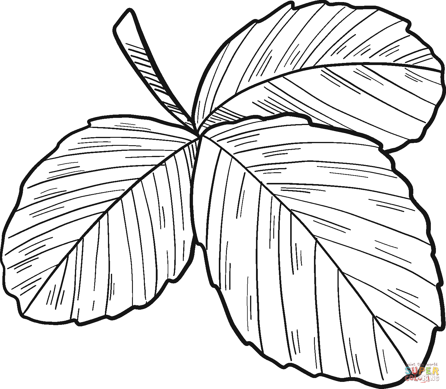Green Maple Leaf Png - Sugar Maple Leaf Stem, Transparent Png , Transparent  Png Image - PNGitem