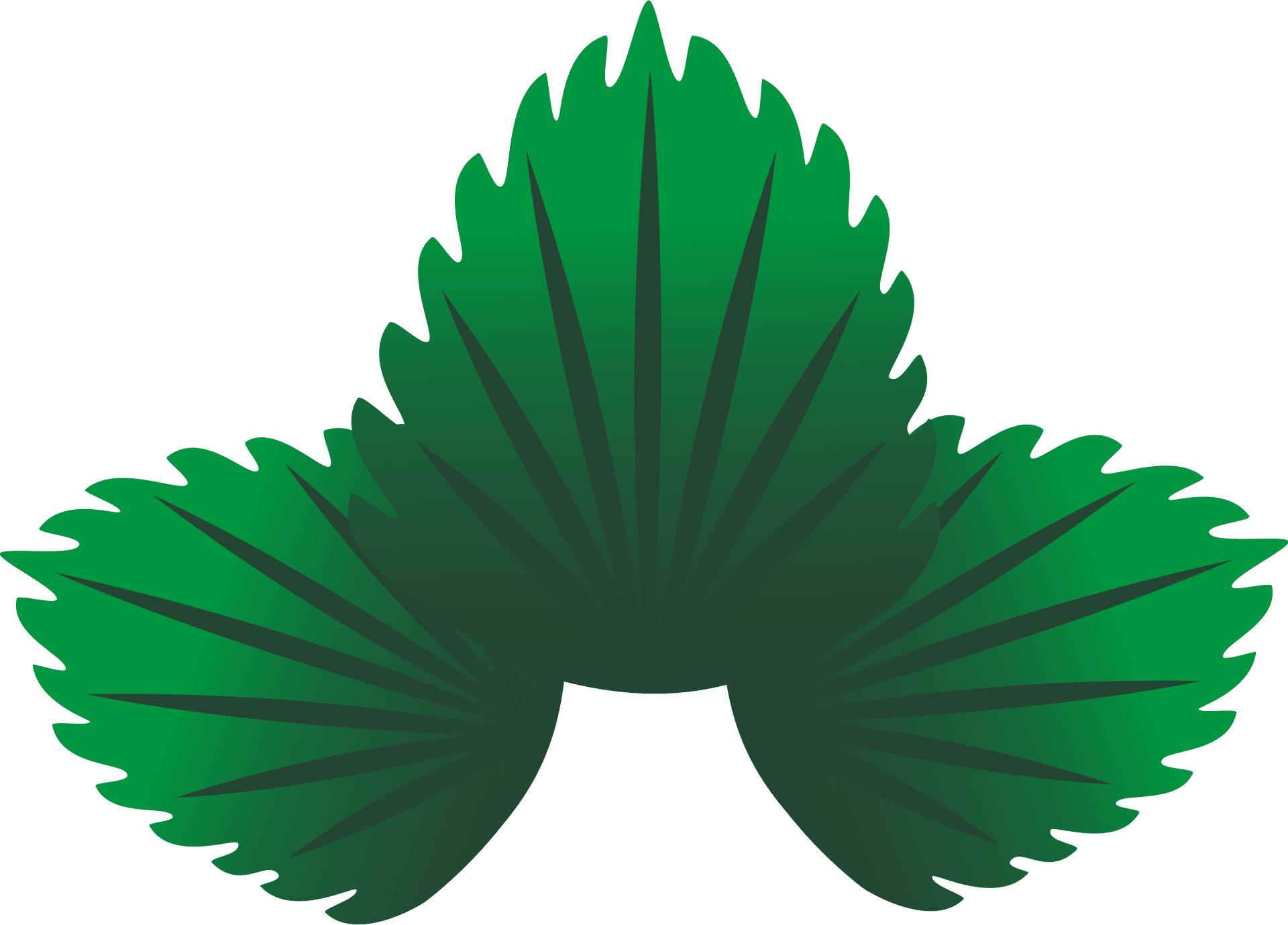 Green Maple Leaf Png - Sugar Maple Leaf Stem, Transparent Png , Transparent  Png Image - PNGitem