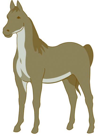 Brown horse with white markings on chest and belly, standing in profile view.