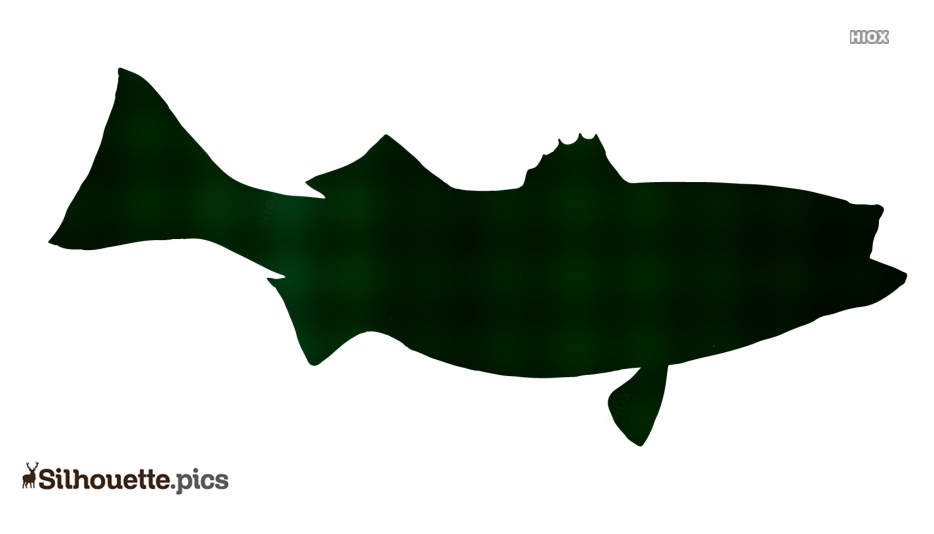 Silhouette of a bass fish in dark green, side profile with open mouth and dorsal fins visible.