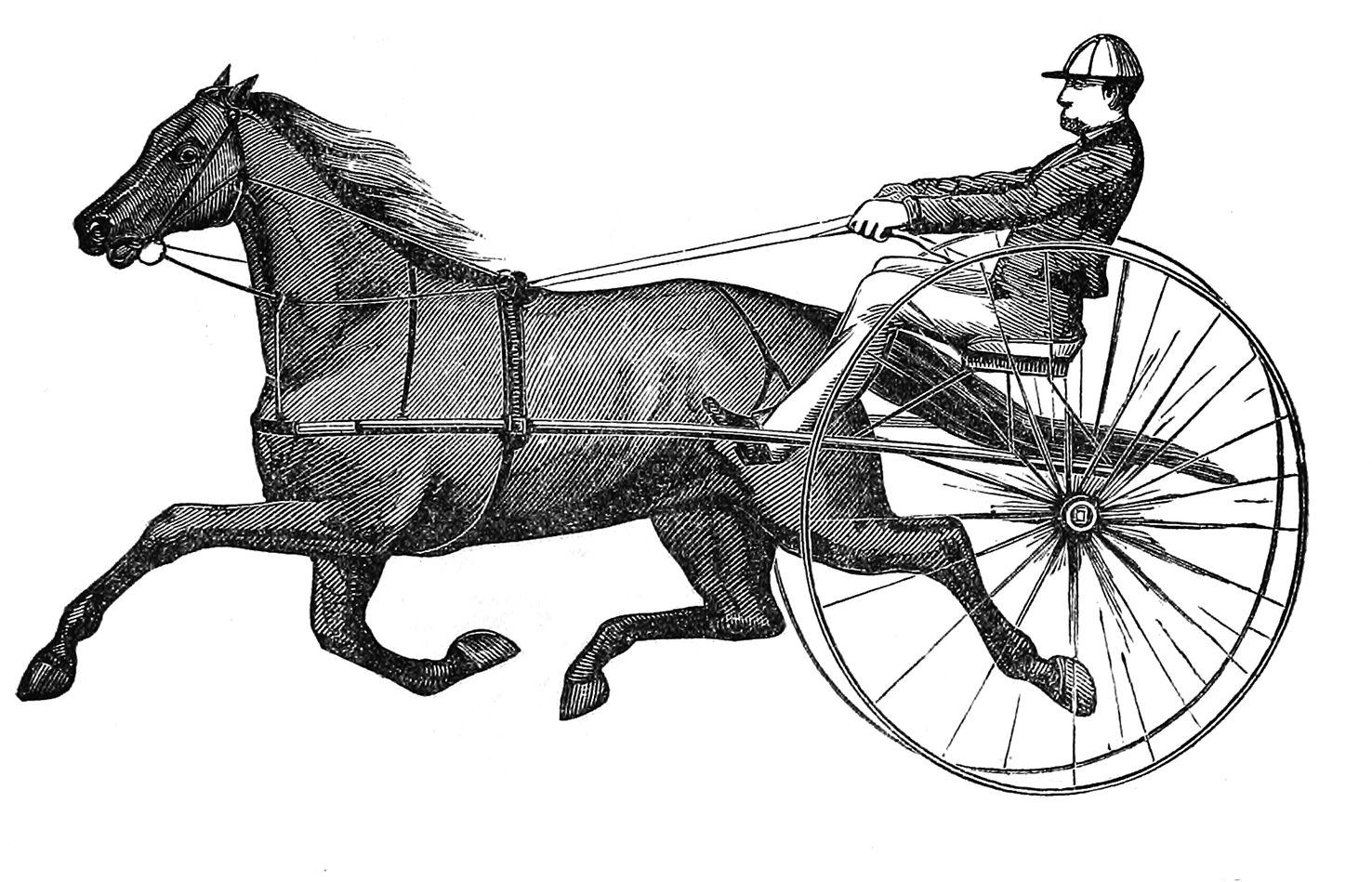 Vintage engraving of a man driving a horse-drawn sulky race cart at full gallop.