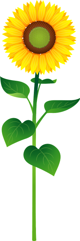 Sunflower Illustration - Vibrant Floral Clipart for Nature & Gardening Sites