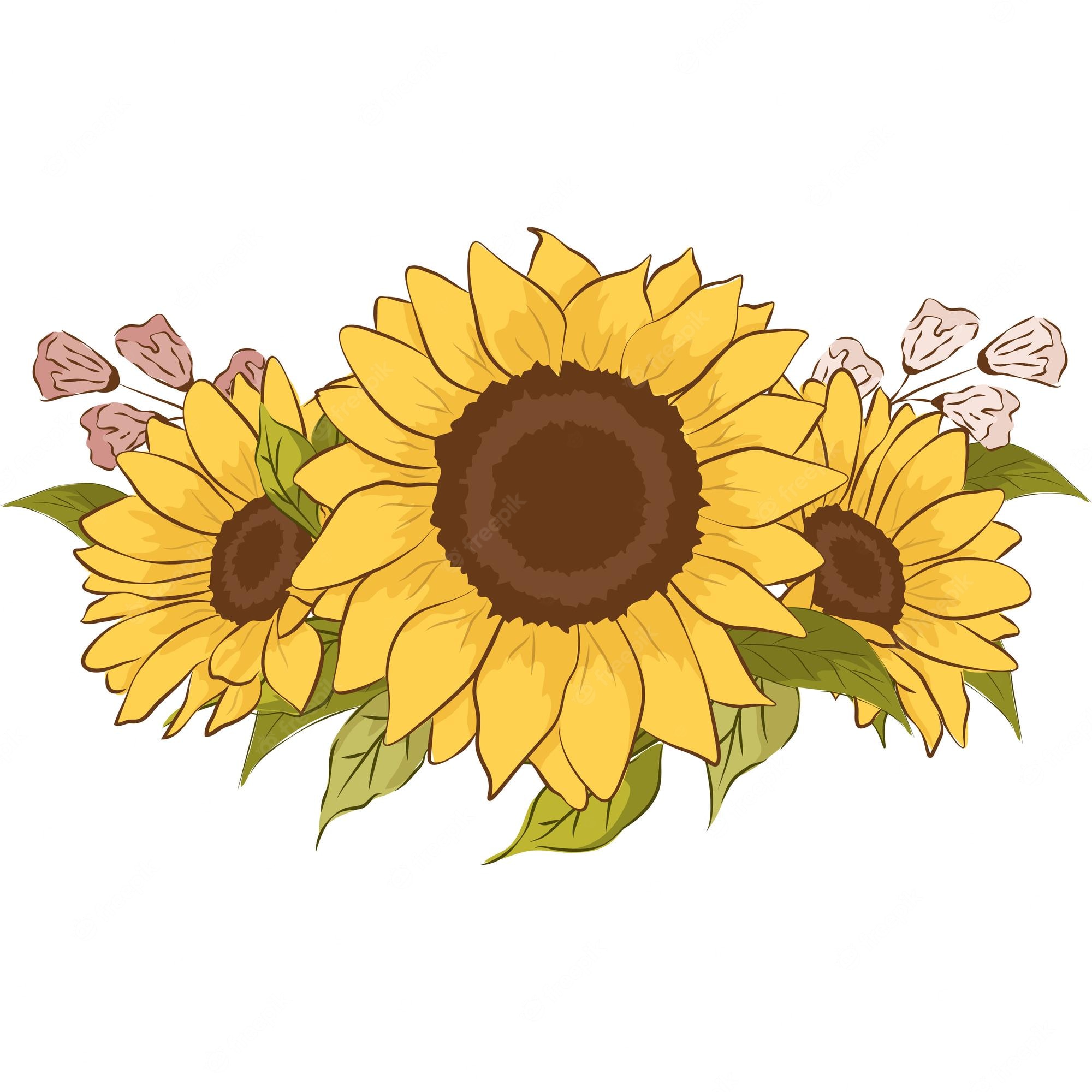 Sunflower schools 3459919