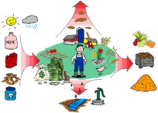 Illustrated diagram showing inputs (sun, rain, fertilizers, money) and outputs (crops, livestock, soil, water) in a farm ecosystem with climate impact.