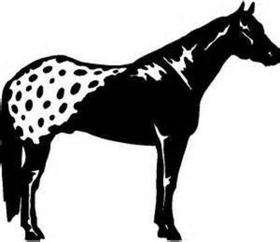 Black silhouette of a horse with distinctive white spotted pattern on hindquarters, stylized vector illustration.
