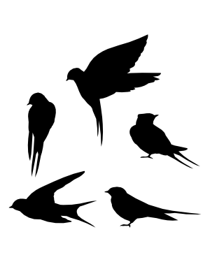Five black bird silhouettes in dynamic flight poses against a white background.