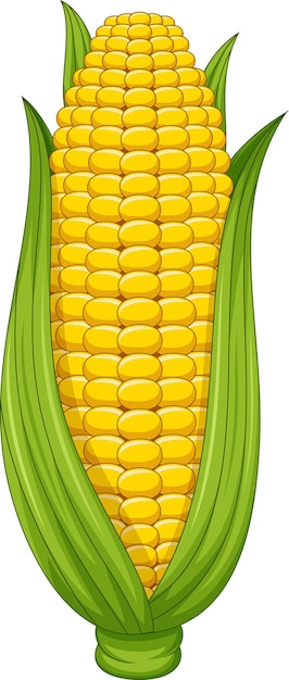 Corn On The Cob Maize Clip Art, PNG, 2613x5000px, Candy Corn - Clip Art ...