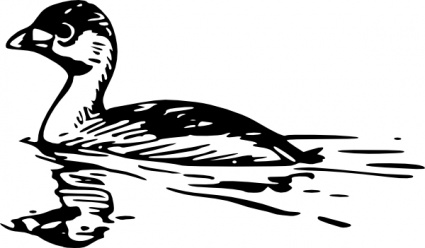 Black-and-white line drawing of a grebe floating on water with ripples and reflection.