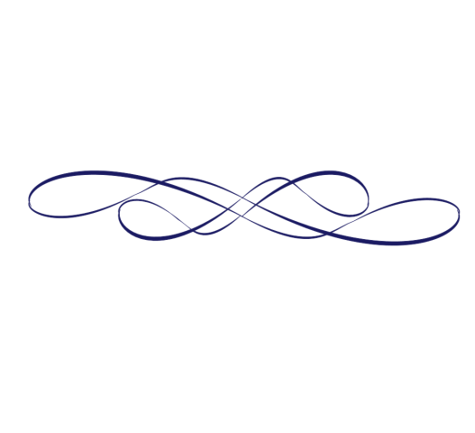 Elegant navy blue ornamental flourish with flowing loops and intersections on white background.