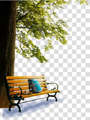 Wooden park bench under leafy tree with blue bag and book, serene outdoor setting.