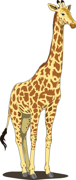 Giraffe Illustration - Free Clipart Image for Education and Design