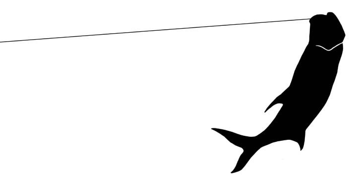 Black silhouette of a large fish, likely a tarpon, suspended on a fishing line against a white background.