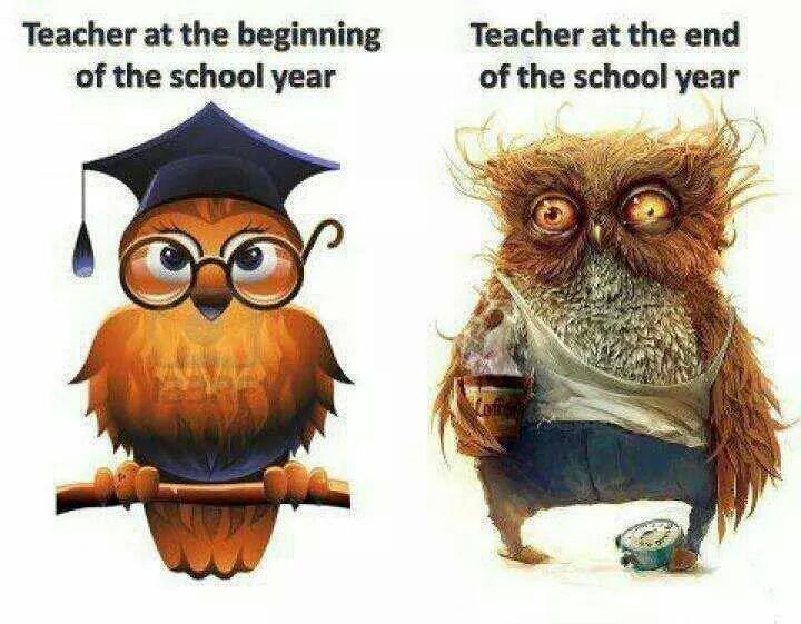 Two illustrated owls: one neat and scholarly with graduation cap at school year start; the other disheveled, holding coffee, at year end.