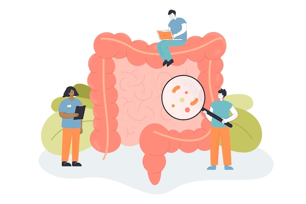 Medical team examining a stylized human large intestine with magnifying glass and laptop, illustrating gut health research.