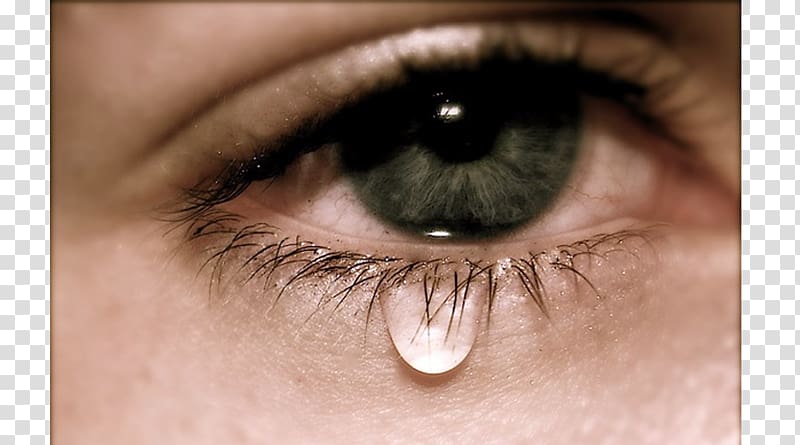 Clipart Crying Eyes | Free Images at Clker.com - vector clip art - Clip ...