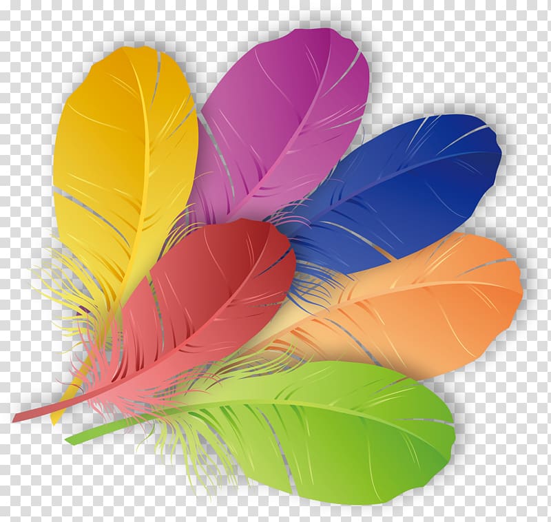 Vibrant multicolored feathers in yellow, purple, blue, red, orange, and green arranged in a fan-like cluster on transparent background.