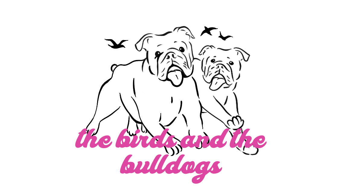 Two bulldogs running with birds flying above, pink text reads "the birds and the bulldogs"