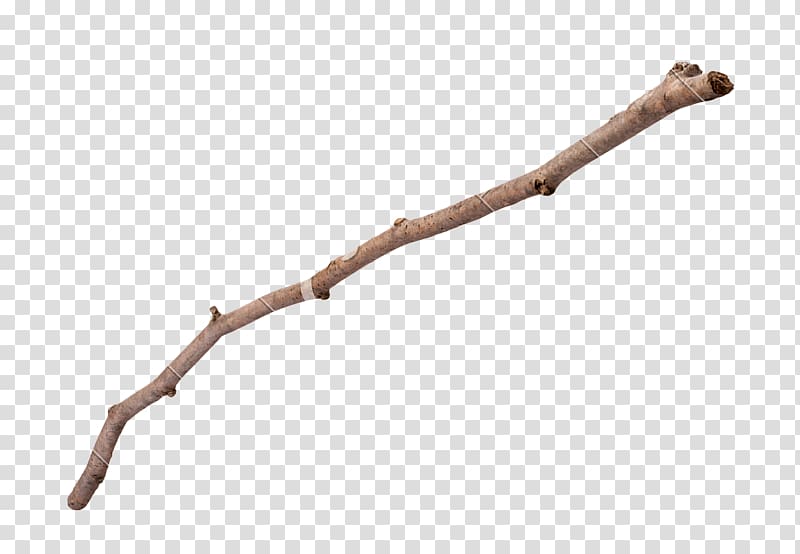 Twig Clipart Vector, A Twig, Branch, Deadwood, Branches And Leaves
