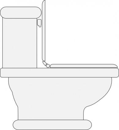 Line drawing of a standard toilet with tank, bowl, seat, and raised lid showing internal flush mechanism.