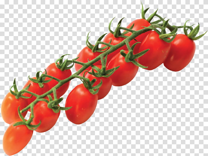 Cherry Tomatoes on the Vine - Fresh, Ripe & Ready to Use