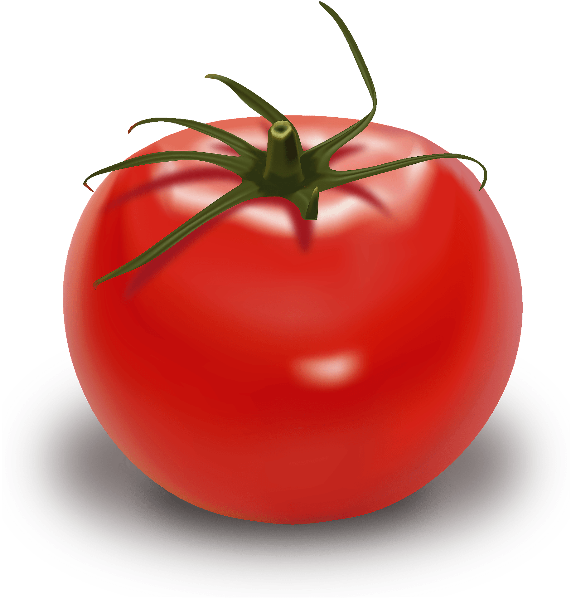 tomato-clipart-free-download-transparent-png-clipart-library-clip