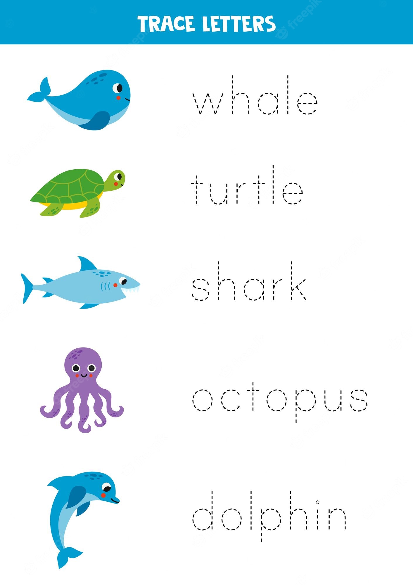  Clip Art Library