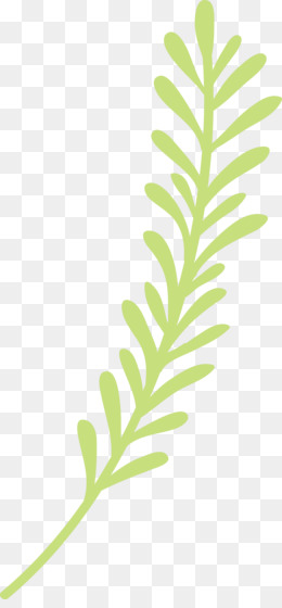 Light green stylized sprig with paired leaves on transparent background, resembling rosemary or lavender.