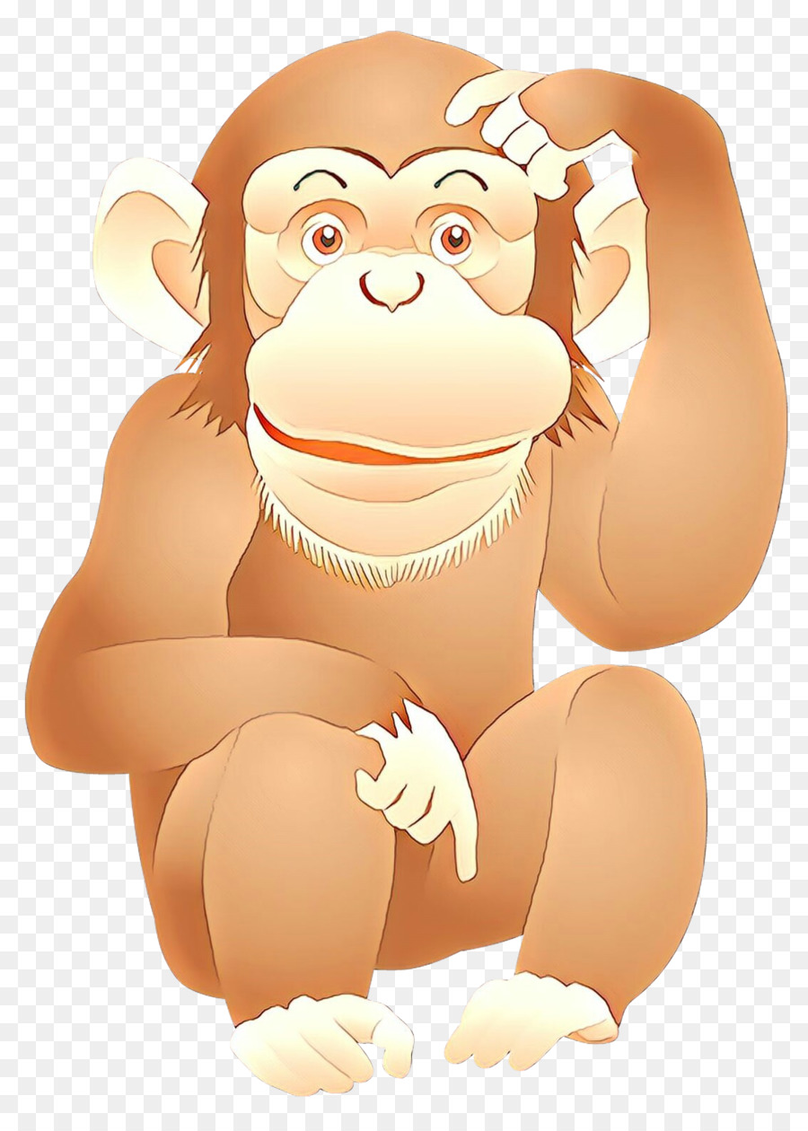chimpanzees