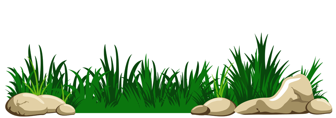 Lush green grass and beige rocks in a cartoon-style natural landscape illustration.