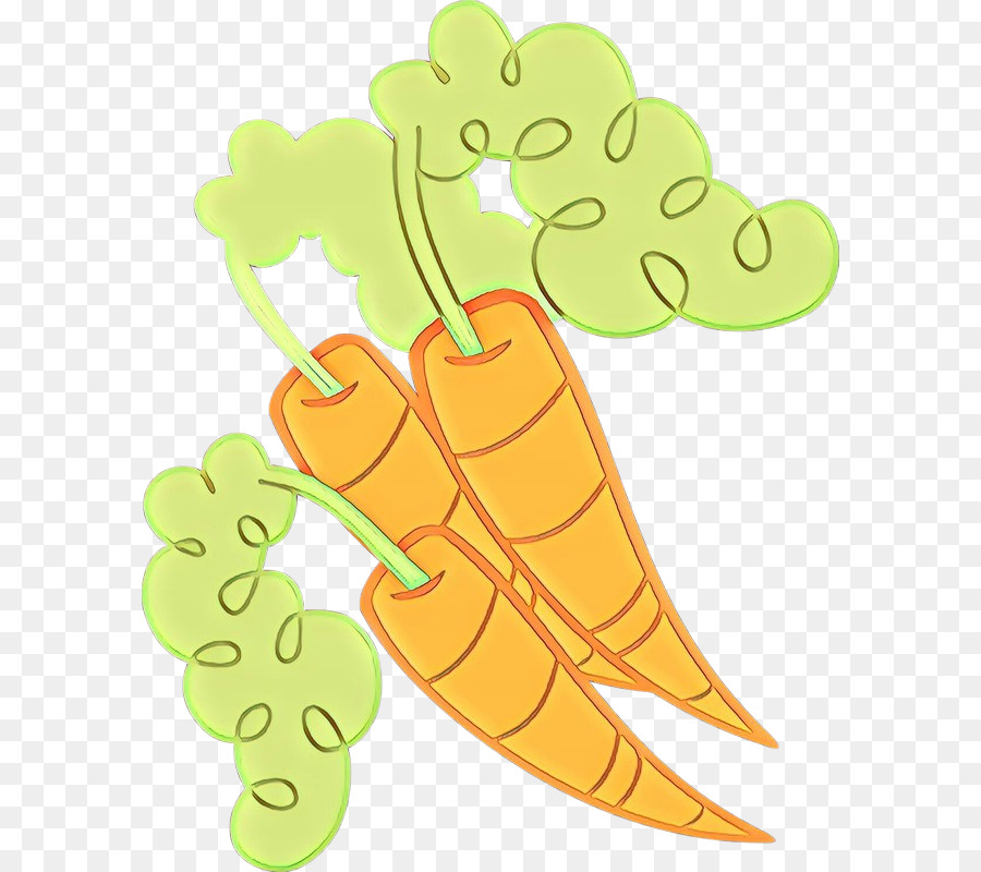 Illustration of two fresh orange carrots with green leafy tops on transparent background.