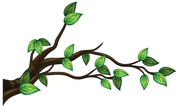 Branch Clipart Png - Tree Branch Vector Png Transparent PNG - Clip Art ...