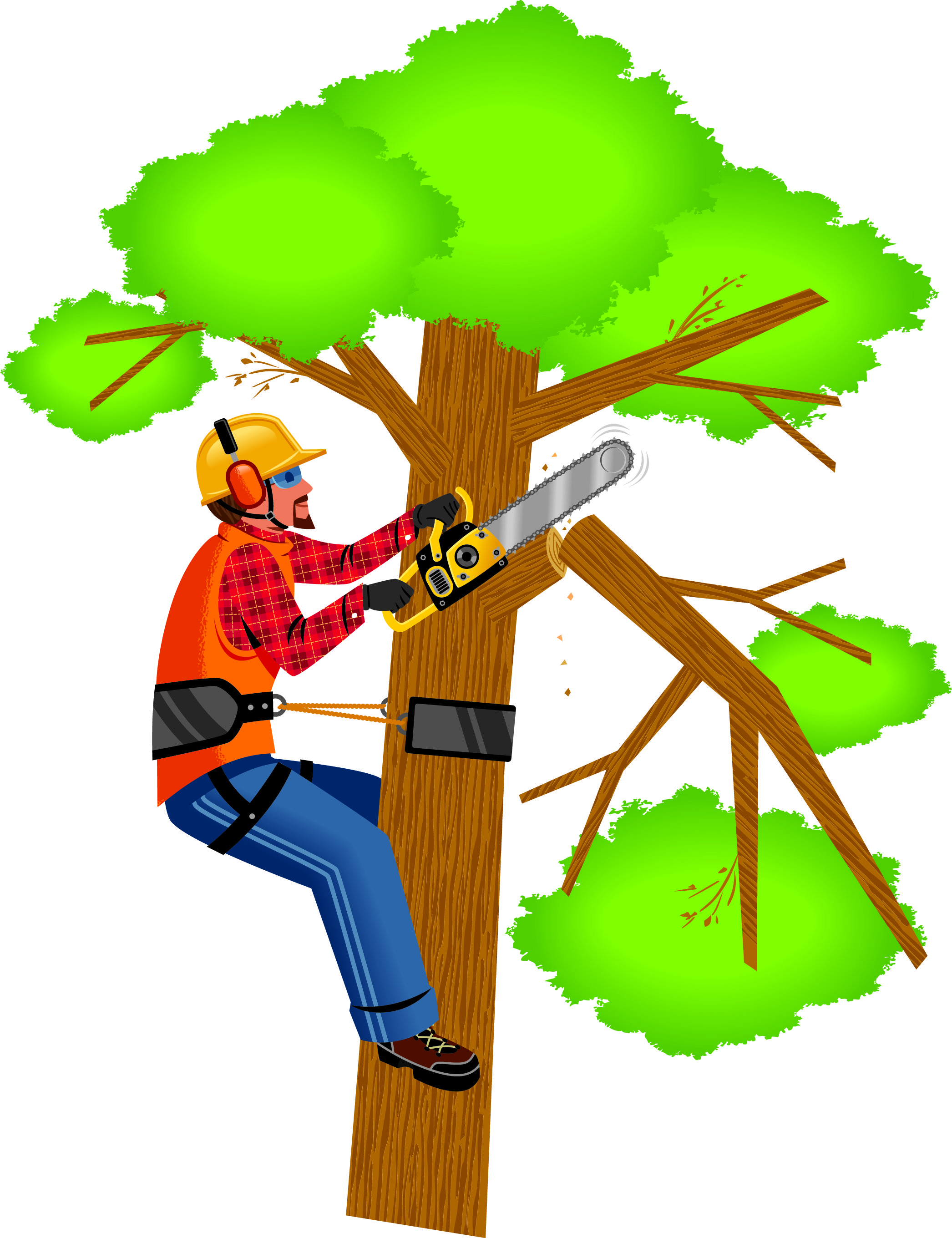 tree trimming - Clip Art Library - Clip Art Library