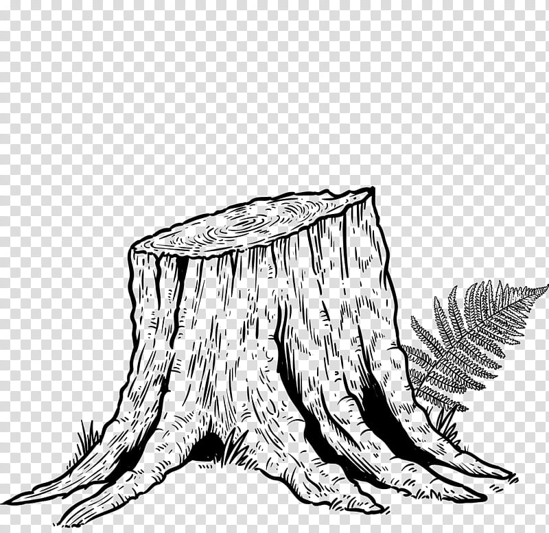 Detailed black-and-white line drawing of a weathered tree stump with visible growth rings and a fern sprouting beside it.