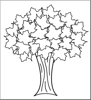 Line drawing of a leafy deciduous tree with broad lobed leaves and a split trunk.