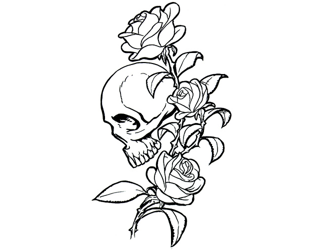 Black-and-white line art of a human skull entwined with three blooming roses and leaves.