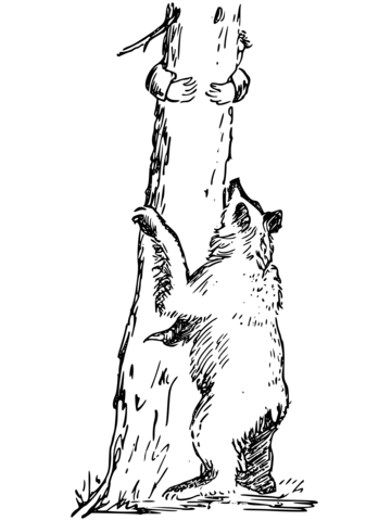 A bear stands on hind legs, hugging a tree trunk while two small hands reach down from above.