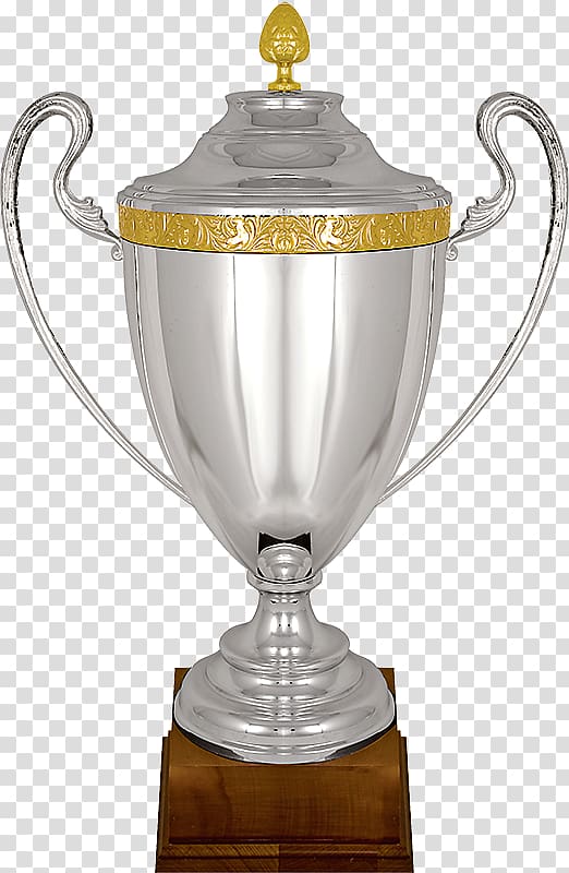 Elegant Silver Trophy with Gold Accents - Premium Award Design