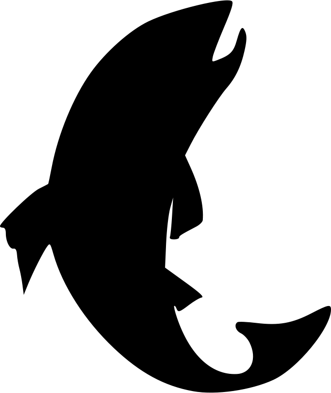 Blank image placeholder with no visible content.