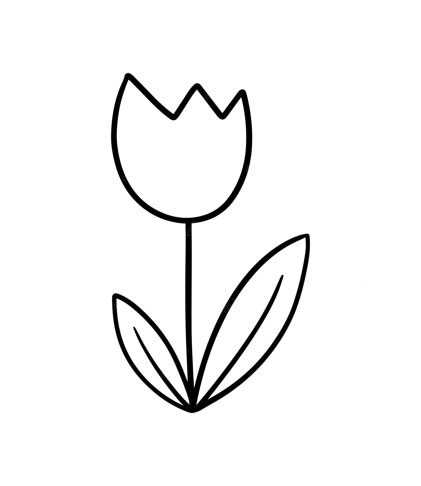 Tulip Black And White Drawing Coloring Book PNG, Clipart, Artwork ...