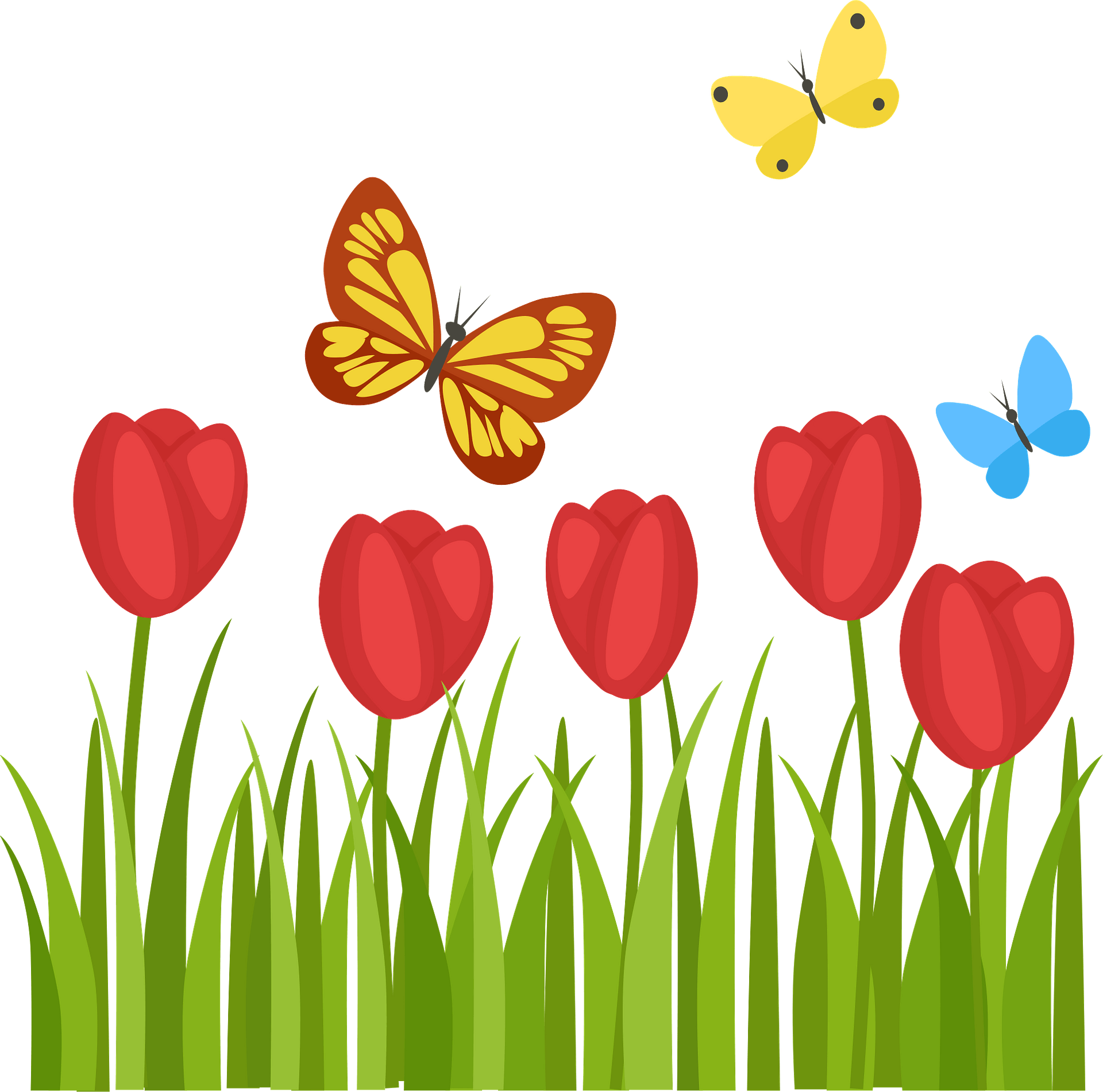 Spring Tulips and Butterflies Illustration - Vibrant Nature Clipart