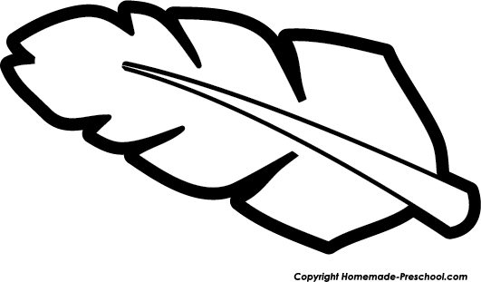 Black-and-white line drawing of a feather with a central quill and barbs, suitable for coloring or educational use.