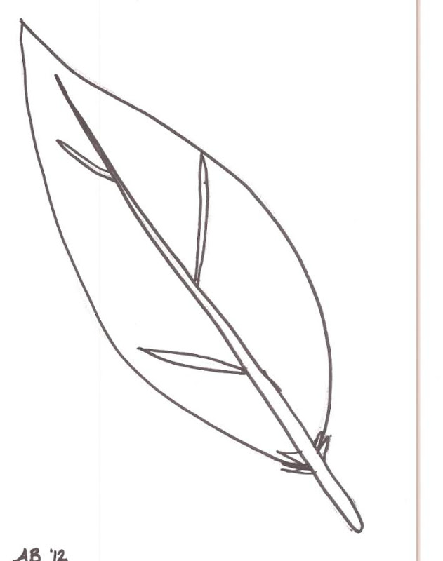 feather outlines - Clip Art Library