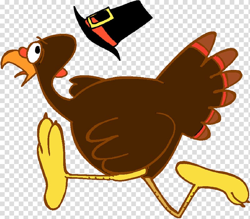 Cartoon turkey running with Pilgrim hat flying off, festive Thanksgiving illustration.