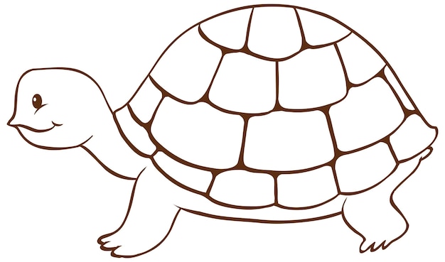 Cartoon Turtle Illustration for Coloring Pages and Educational Content